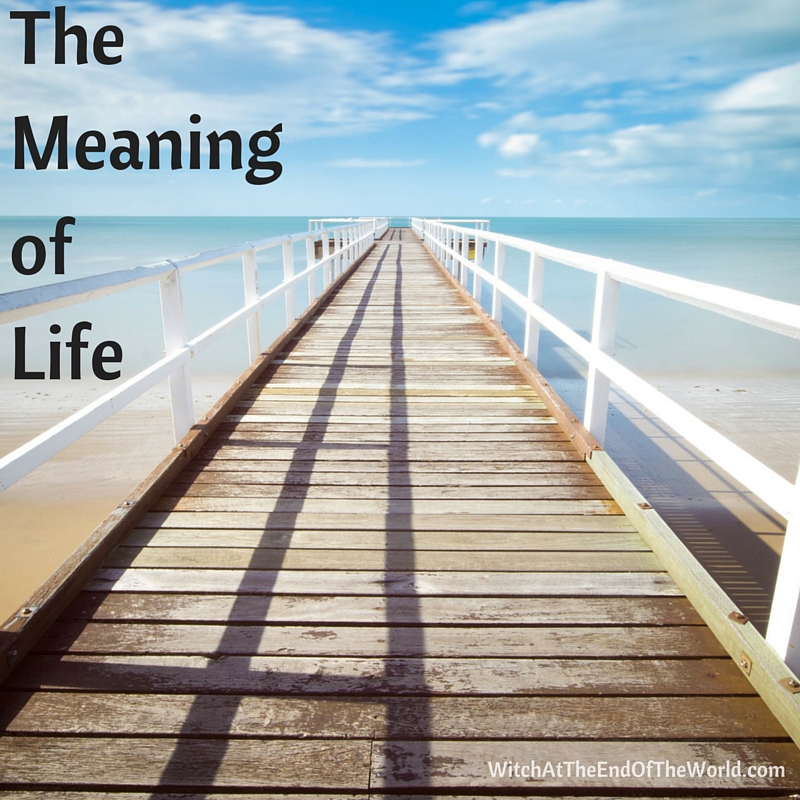 Meaning of Life